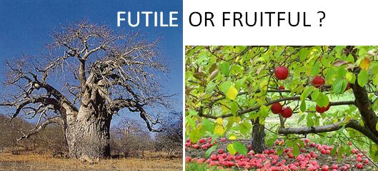 futile or fruitful