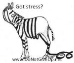 zebra stress