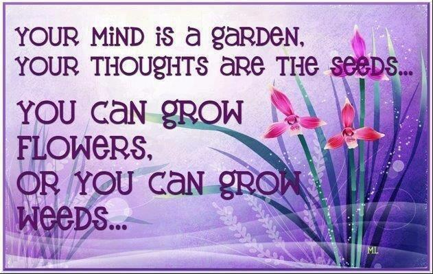 your mind is a garden